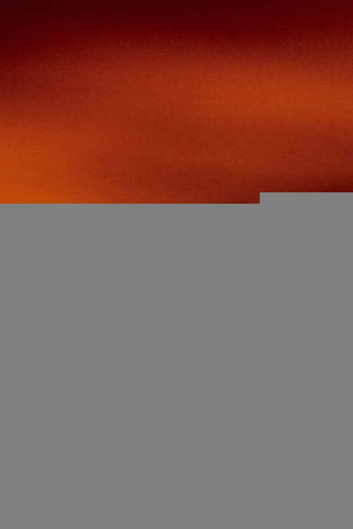 ESTRATEGIA DEL AVE FENIX, LA | SANTIAGO ROJAS