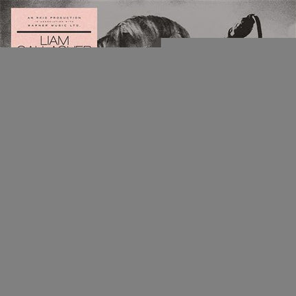 KNEBWORTH 22 | LIAM GALLAGHER