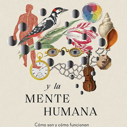 CEREBRO Y LA MENTE HUMANA, EL | IGNACIO MORGADO