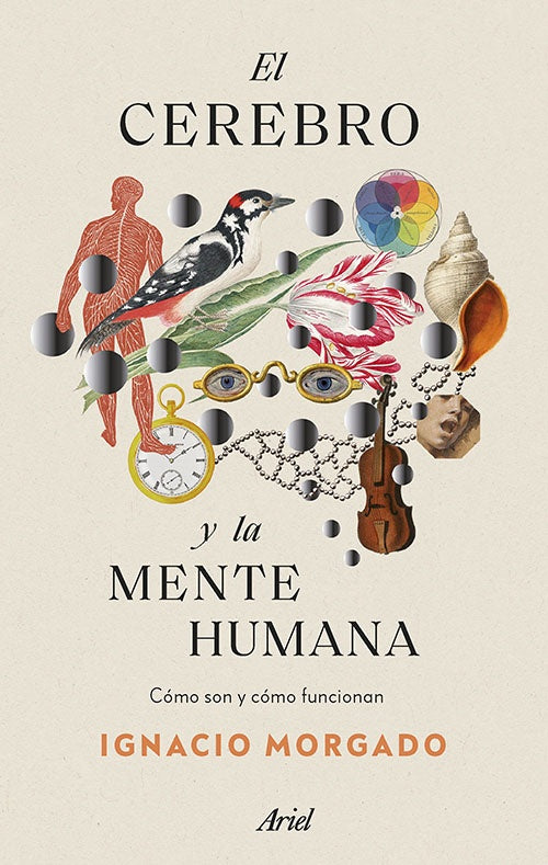 CEREBRO Y LA MENTE HUMANA, EL | IGNACIO MORGADO