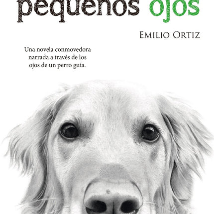 A TRAVES DE MIS OJOS PEQUEÑOS | EMILIO ORTIZ