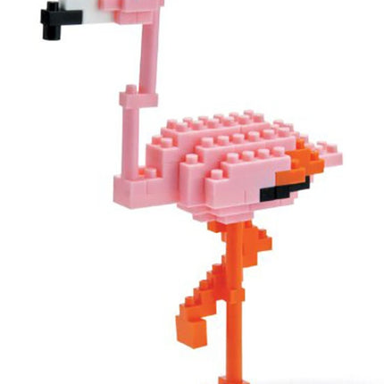 GREATER FLAMINGO (M)