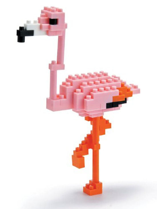 GREATER FLAMINGO (M)