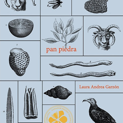 PAN PIEDRA | LAURA ANDREA GARZON