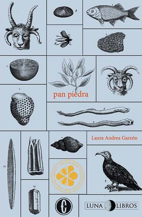 PAN PIEDRA | LAURA ANDREA GARZON