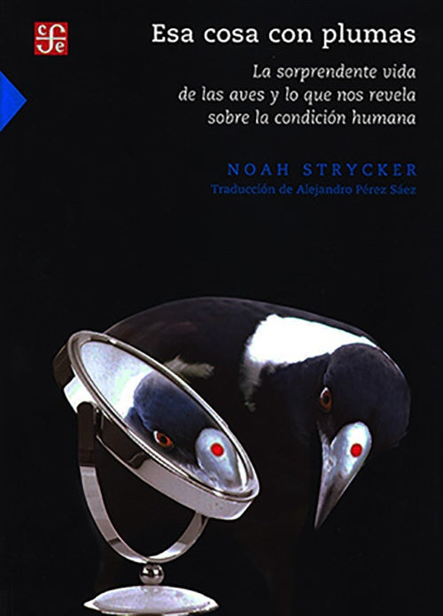 ESA COSA CON PLUMAS | NOAH STRYCKER