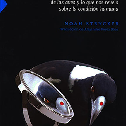 ESA COSA CON PLUMAS | NOAH STRYCKER