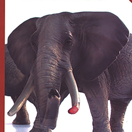 SALAMBO | GUSTAVE FLAUBERT