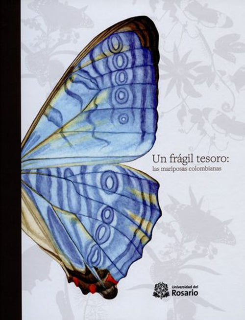 UN FRAGIL TESORO: LAS MARIPOSAS COLOMBIANAS | PATRICIA LONDOÑO VEGA