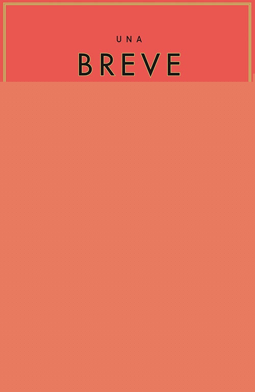 UNA BREVE HISTORIA DE LA IGUALDAD | THOMAS PIKETTY