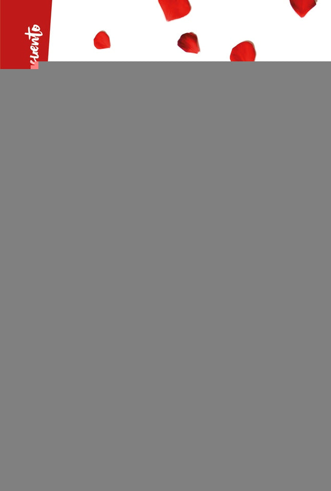 AHORA QUE YA BAILAS | MIGUEL GANE