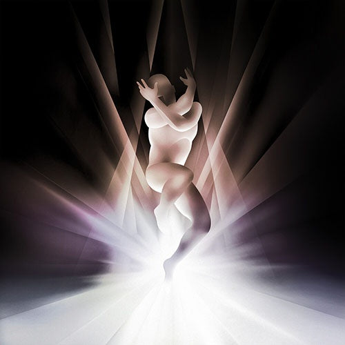 CRY - ORCHID (PURPURA) | THE SMASHING PUMPKINS