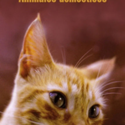 ANIMALES DOMESTICOS | ALEJANDRA COSTAMAGNA