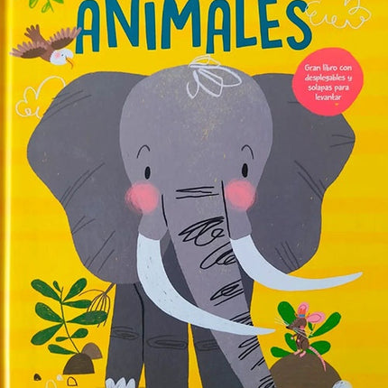 MI VIAJE DE EXPLORACION ANIMALES | SIN FRONTERAS