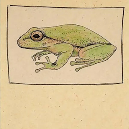 CUADERNO RANA GRANDE BLANCO | LAURA ARANGO URIBE