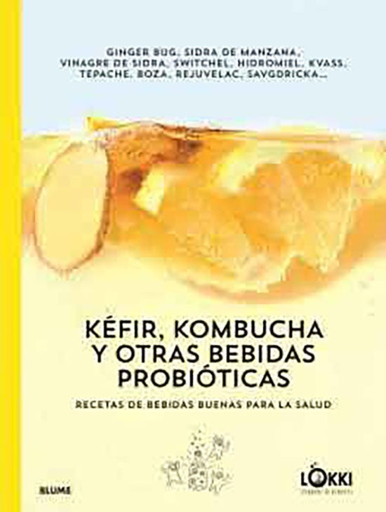 KEFIR, KOMBUCHA Y OTRAS BEBIDAS PROBIOTICAS | GINGER BUJ