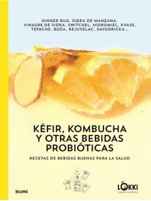 KEFIR, KOMBUCHA Y OTRAS BEBIDAS PROBIOTICAS | GINGER BUJ