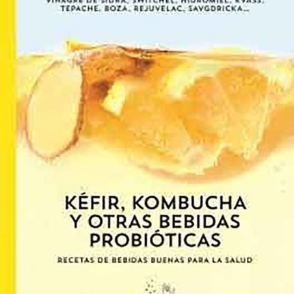 KEFIR, KOMBUCHA Y OTRAS BEBIDAS PROBIOTICAS | GINGER BUJ