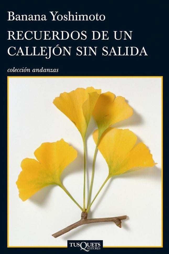 RECUERDOS DE UN CALLEJON SIN SALIDA | BANANA YOSHIMOTO