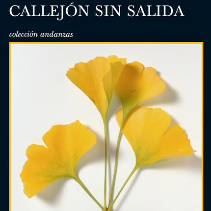 RECUERDOS DE UN CALLEJON SIN SALIDA | BANANA YOSHIMOTO