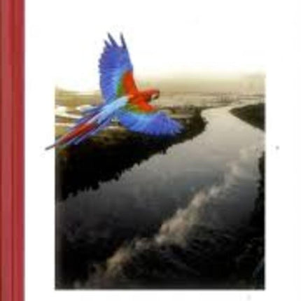 UN PAPAGAYO VOLO SOBRE EL RIO IJSSEL | KADER ABDOLAH