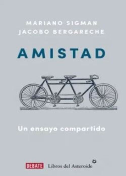 AMISTAD | JACOBO BERGARECHE