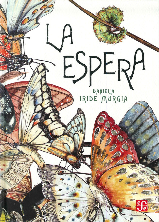 ESPERA,LA | DANIELA IRIDE MURGIA