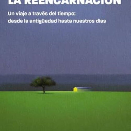 LA REENCARNACION | VICENTE MERLO