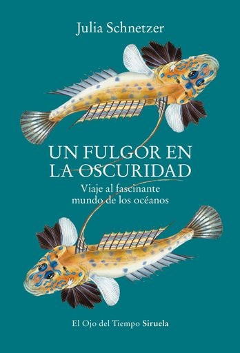 UN FULGOR EN LA OSCURIDAD | JULIA SCHNETZER