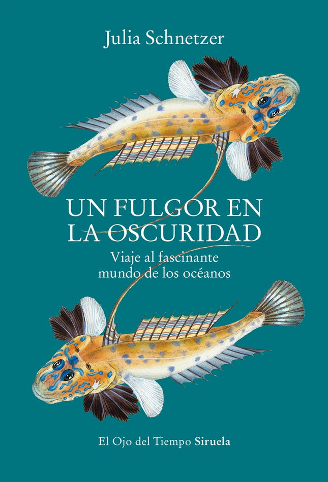 UN FULGOR EN LA OSCURIDAD | JULIA SCHNETZER