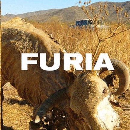 FURIA | CLYO MENDOZA