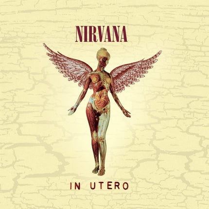 IN UTERO | NIRVANA