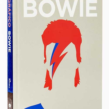BIOGRAFICO BOWIE | LIZ FLAVELL