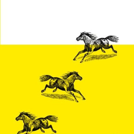CABALLO DE VERANO | HERNAN RONSINO