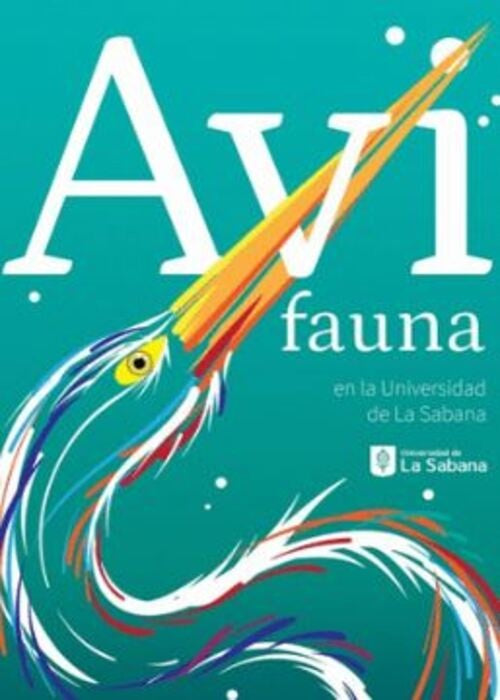 AVIFAUNA | ANGELICA PAOLA ZAPATA PARDO