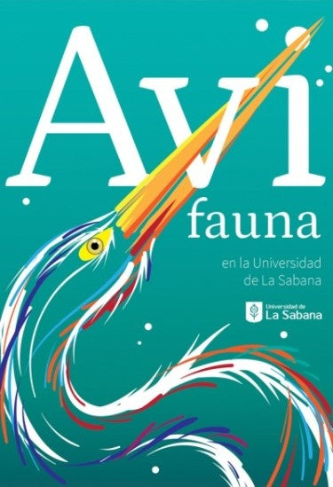 AVIFAUNA | ANGELICA PAOLA ZAPATA PARDO