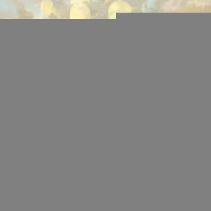 EL CASTILLO EN EL AIRE | DIANA WYNNE JONES
