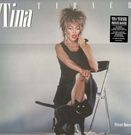 PRIVATE DANCER | TINA TURNER