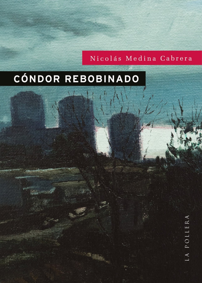 CONDOR REBOBINADO | NICOLAS MEDINA CABRERA