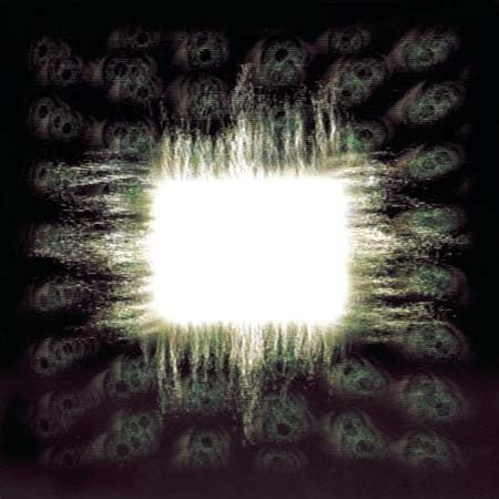 AENIMA | TOOL