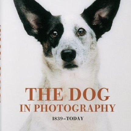 THE DOG IN PHOTOGRAPHY 1839 - TODAY | RAYMOND  MERRITT
