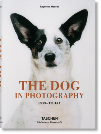 THE DOG IN PHOTOGRAPHY 1839 - TODAY | RAYMOND  MERRITT