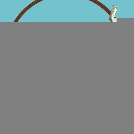 EL QUESO Y LOS GUSANOS | CARLO GINZBURG