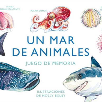 UN MAR DE ANIMALES | AUTORES VARIOS