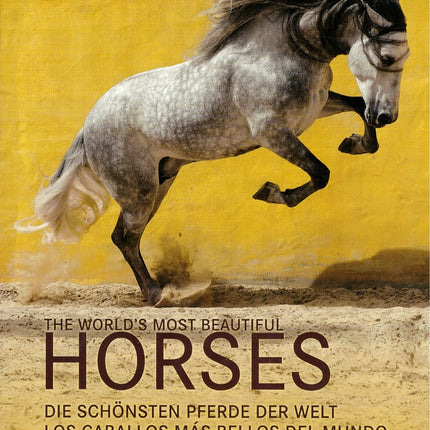 THE WORLDS MOST BEAUTIFUL HORSES | GABRIELE BOISELLE