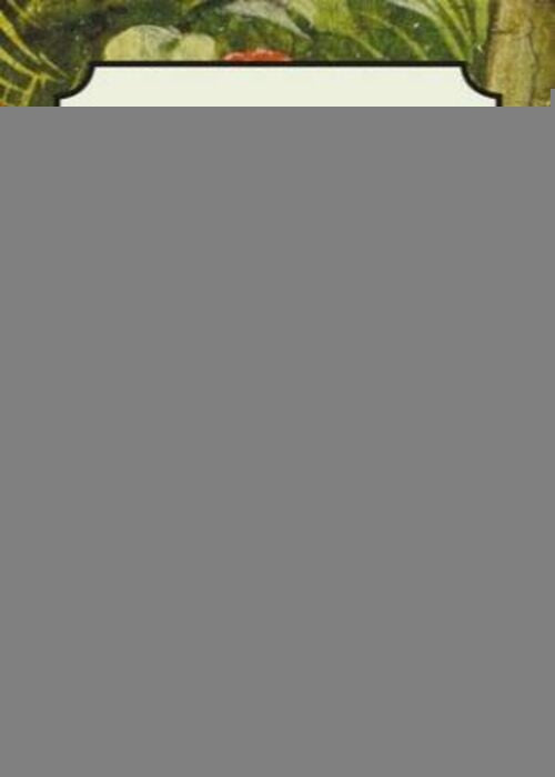 EL PUENTE DONDE HABITAN LAS MARIPOSAS | NAZARETH CASTELLANOS