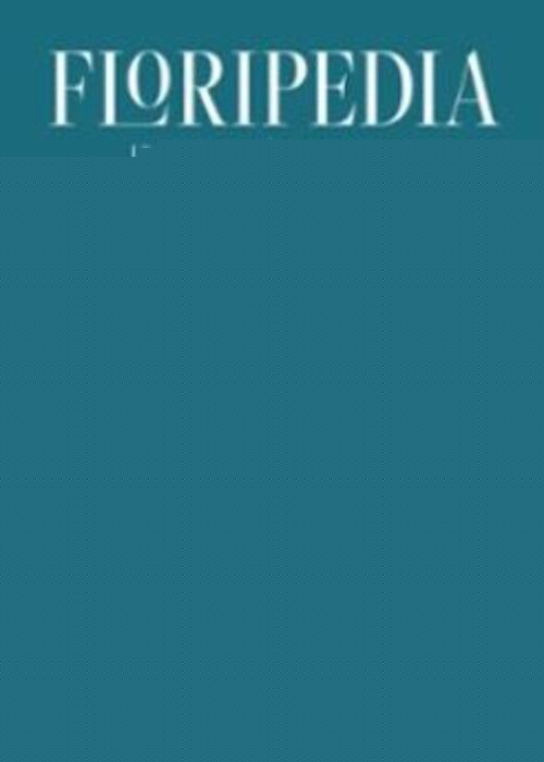 FLORIPEDIA | AUTORES VARIOS