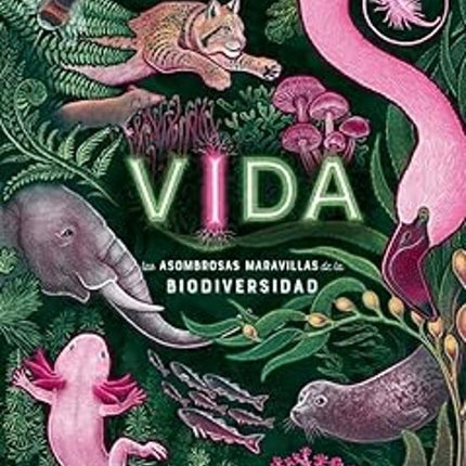 VIDA | JENNIFER SMITH