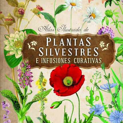 ATLAS ILUSTRADO DE PLANTAS SILVESTRES E INFUSIONES CURATIVAS | ELISKA TOMANOVA