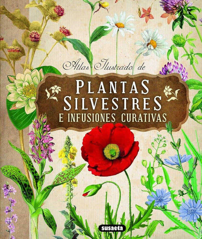 ATLAS ILUSTRADO DE PLANTAS SILVESTRES E INFUSIONES CURATIVAS | ELISKA TOMANOVA